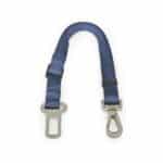 Car seatbelt clip