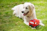 Flame The Fire Engine Plush Dog Toy - Image 7