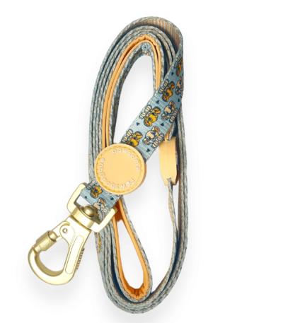 disney lead