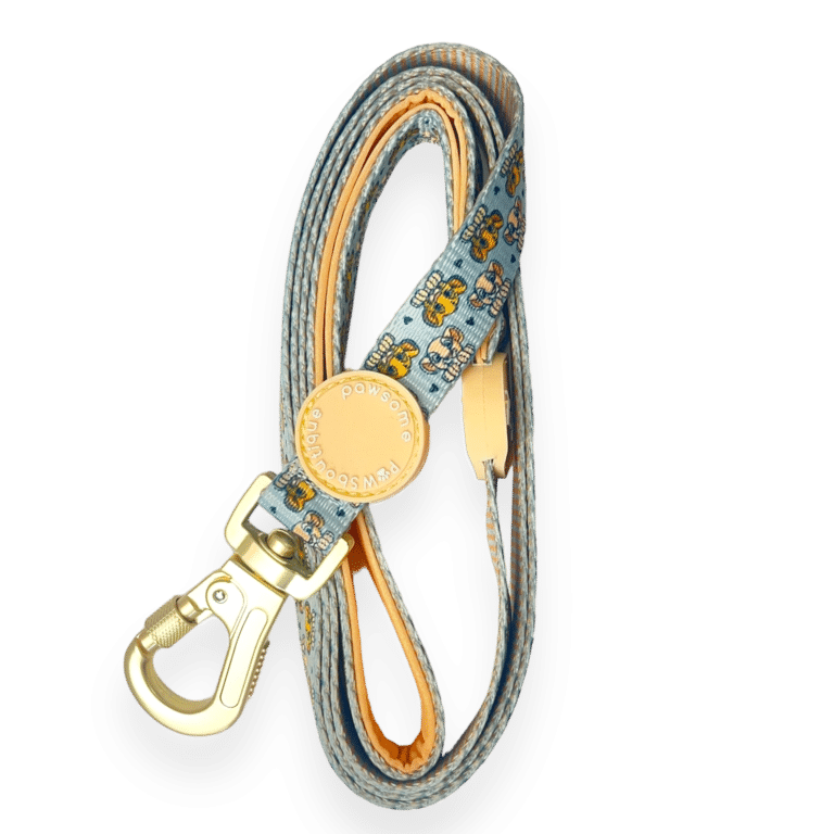 disney lead
