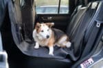 car seat cover