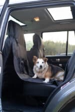 car seat cover