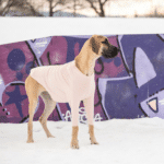 pink base layer
