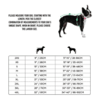 base layer size guide