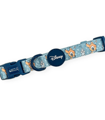disney collar