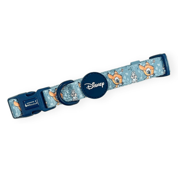 disney collar