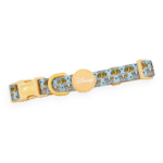 disney collar