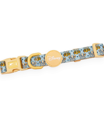 disney collar