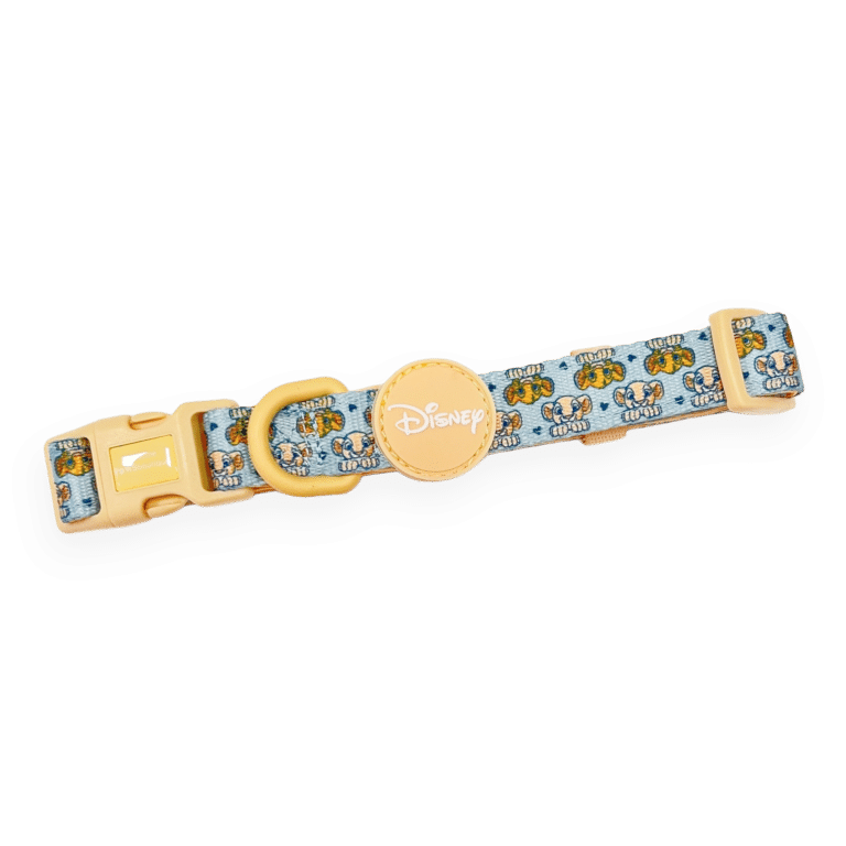 disney collar