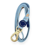 disney lead