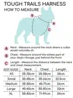 Pawsome paws Disney© Tough Trails™ Harness - Lion Friends - Image 4