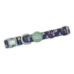 disney collar