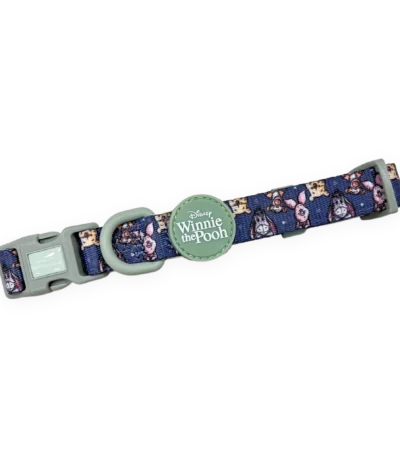 disney collar