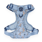 disney harness