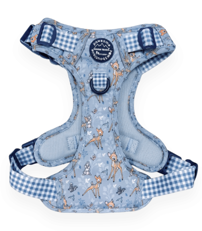 disney harness