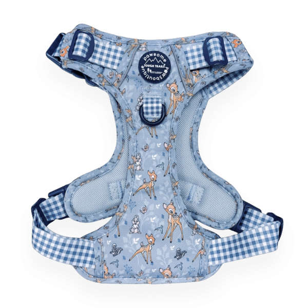 disney harness