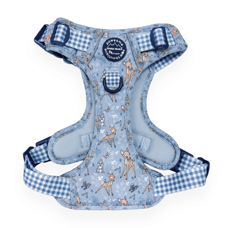 disney harness
