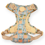 disney harness