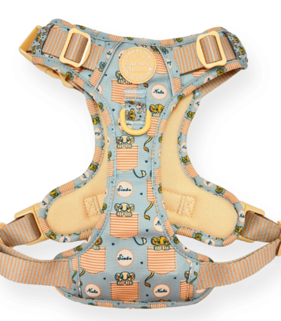 disney harness