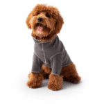 charcoal base layer
