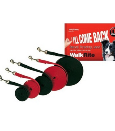 mikki recall lead