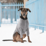 charcoal base layer