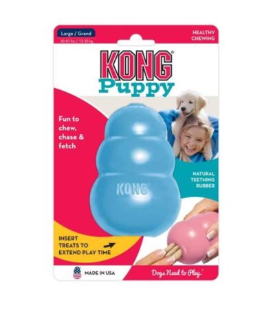 kong puppy