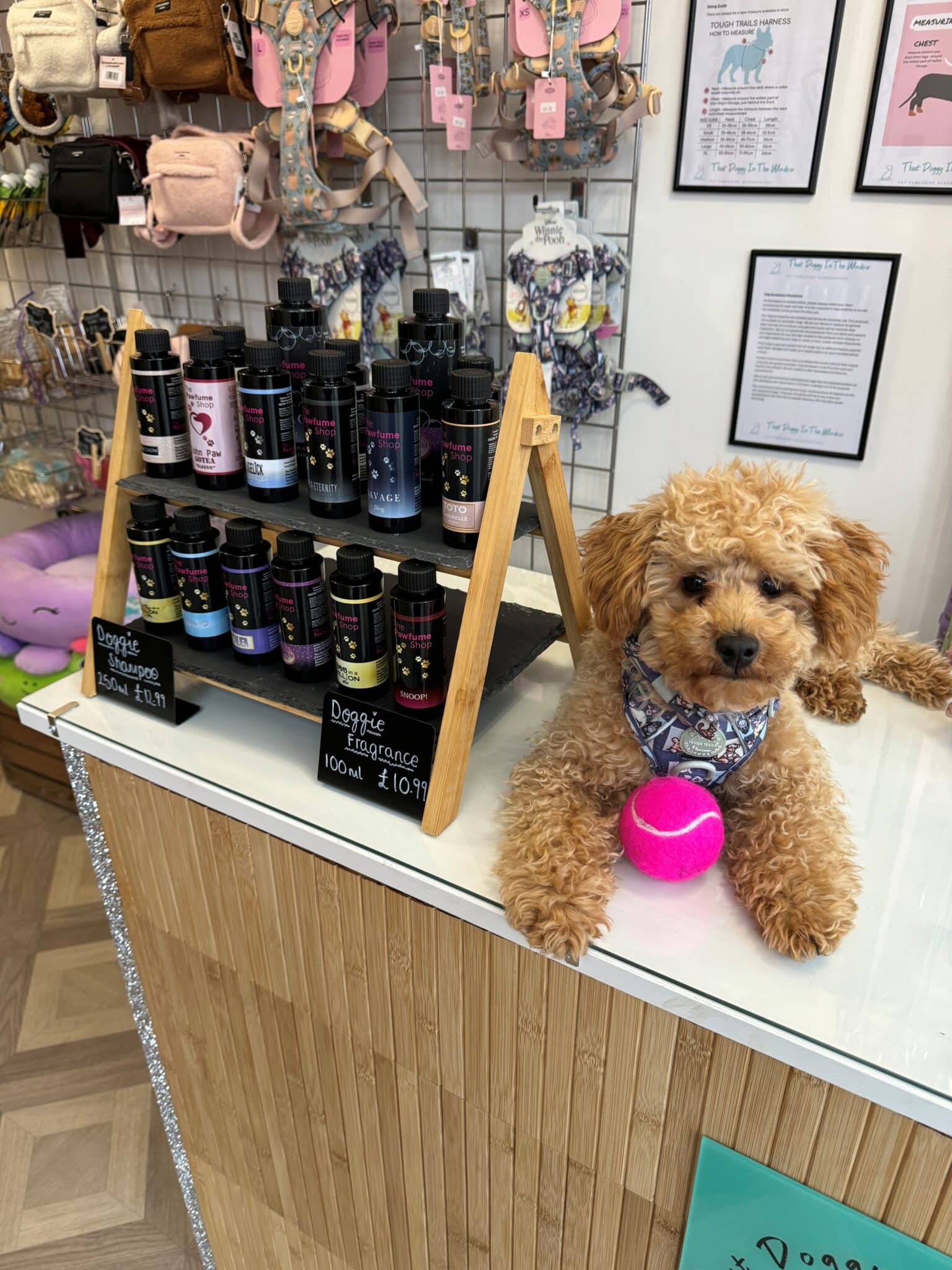 Looking for a Pet Shop in Leeds
