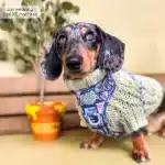 disney harness
