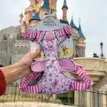 disney harness