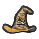 harry potter hat