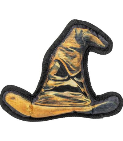 harry potter hat