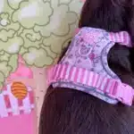 disney harness