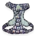 disney harness