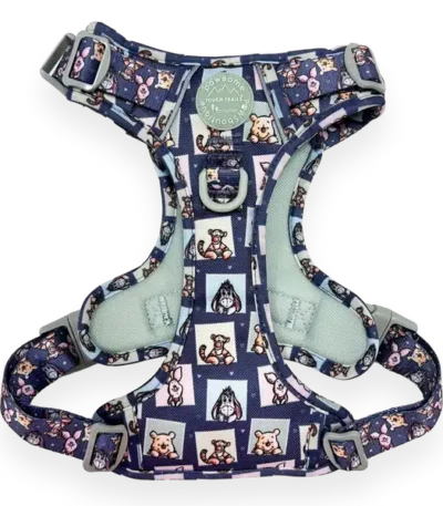 disney harness