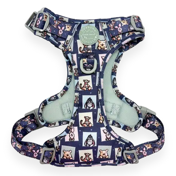 disney harness