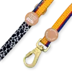 disney lead