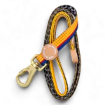 disney lead