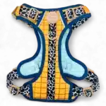 disney harness
