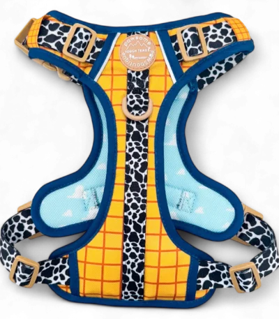 disney harness