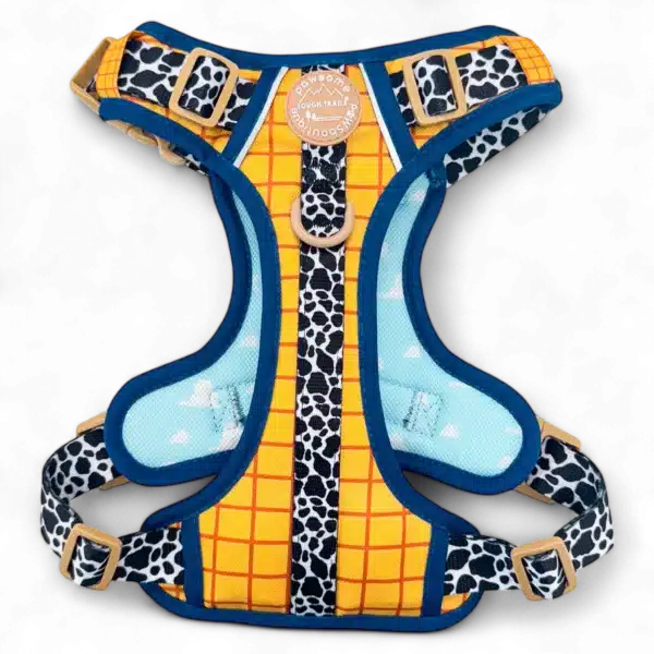 disney harness