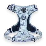 disney harness