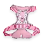 disney harness