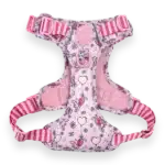 disney harness