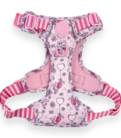 disney harness