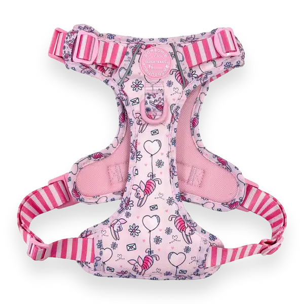 disney harness