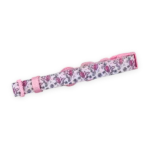 disney collar