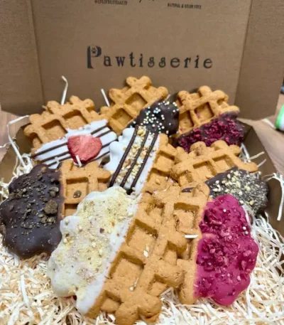 doggy waffles treats