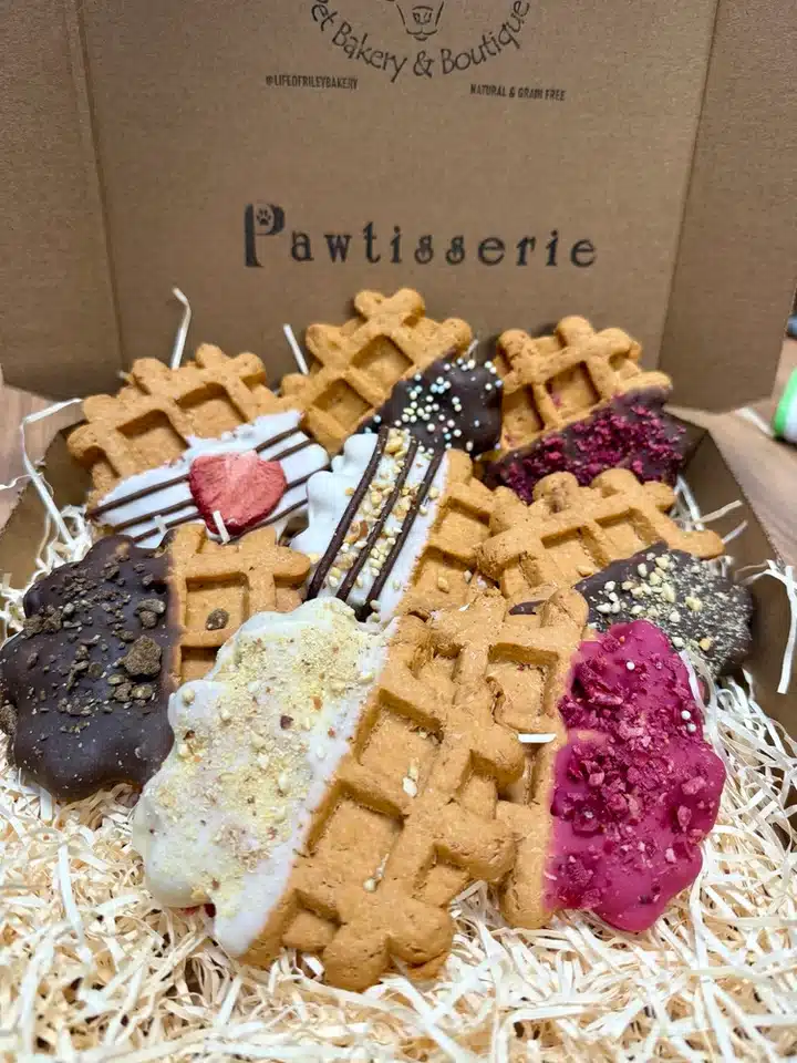 DoggyWaffleGrainFreeTreatBiscuitNatural2_720x doggy waffles treats