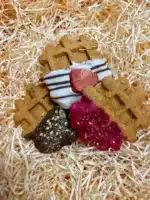 doggy waffles treats